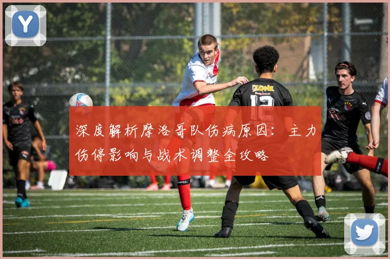 深度解析摩洛哥队伤病原因:主力伤停影响与战术调整全攻略