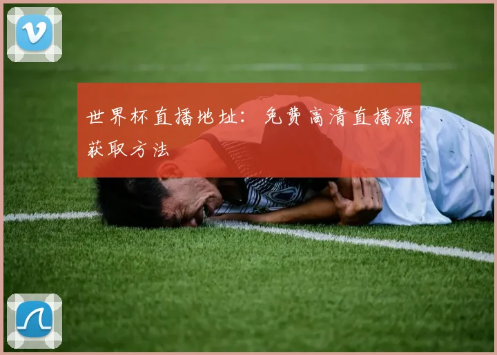 世界杯直播地址:免费高清直播源获取方法